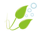 Random Background Plant - Aquarium Gardens