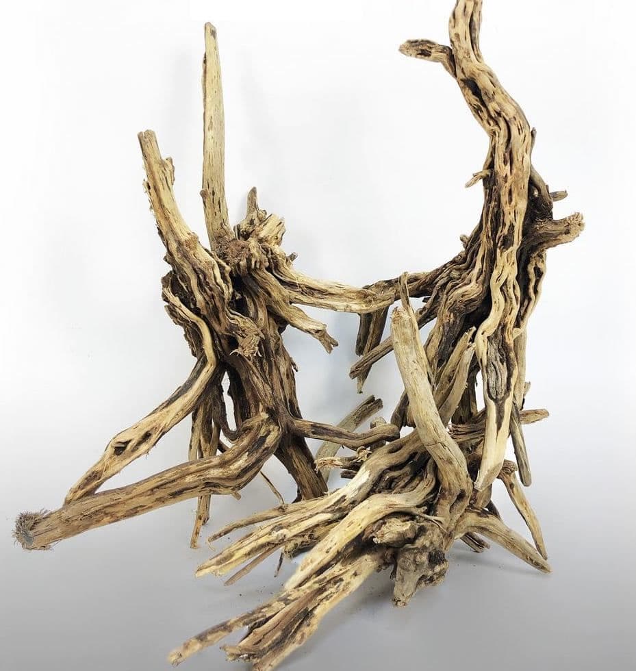Little Roots Wood Root Wood Small 18-25cm