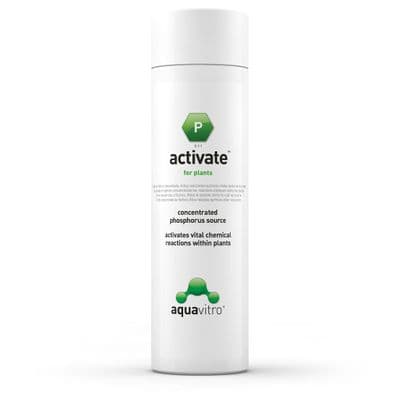 Seachem AquaVitro - Activate P 350ml