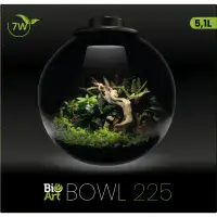 SF BioArt Bowl Terrarium Black 225mm