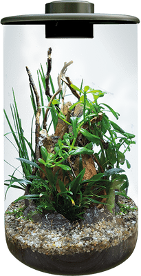 SF BioArt Cylinder Terrarium  Black 285mm