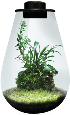 SF BioArt Drop Terrarium Black 285mm