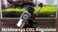 Strideways Pro CO2 Regulator and Solenoid