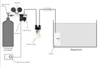 Aquarium Co2 Set up Kit  from Aquarium Gardens