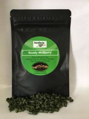 Tantora Ready Mulberry 30g