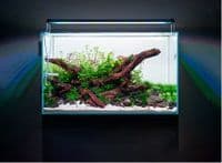 Twinstar LED V 300EA  - Version 5  Aquarium Light