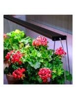 Twinstar - Spring Wire Legs 35cm Set