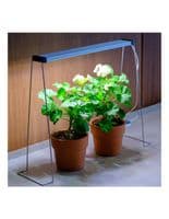 Twinstar - Spring Wire Legs 35cm Set