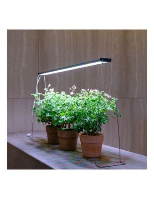 Twinstar - Spring Wire Legs 35cm Set