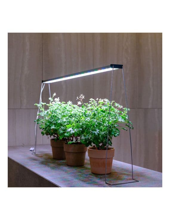 Twinstar - Spring Wire Legs 35cm Set