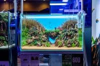 UNS Atmos Backlight 60U