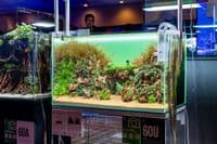 UNS Atmos Backlight 60U