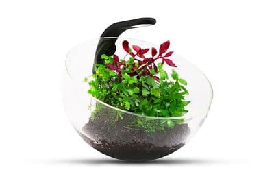 Wabi Kit - Vase and LED Light