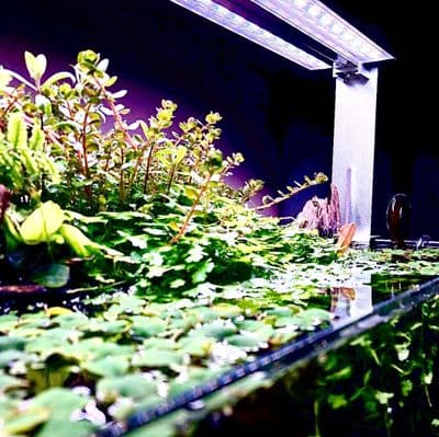 Wio Slim WRGB High Type Bracket