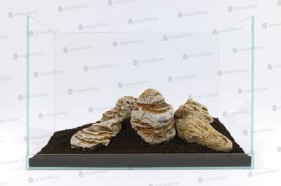Yangtse Rock per KG