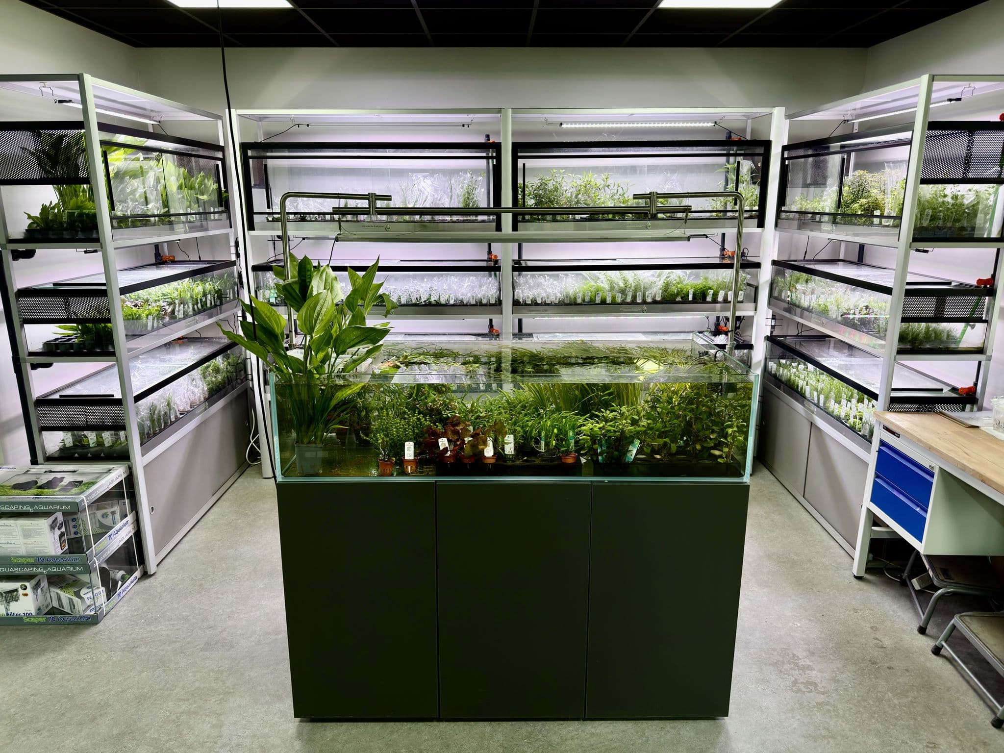 Aquarium Plant Shop Aquarium Gardens