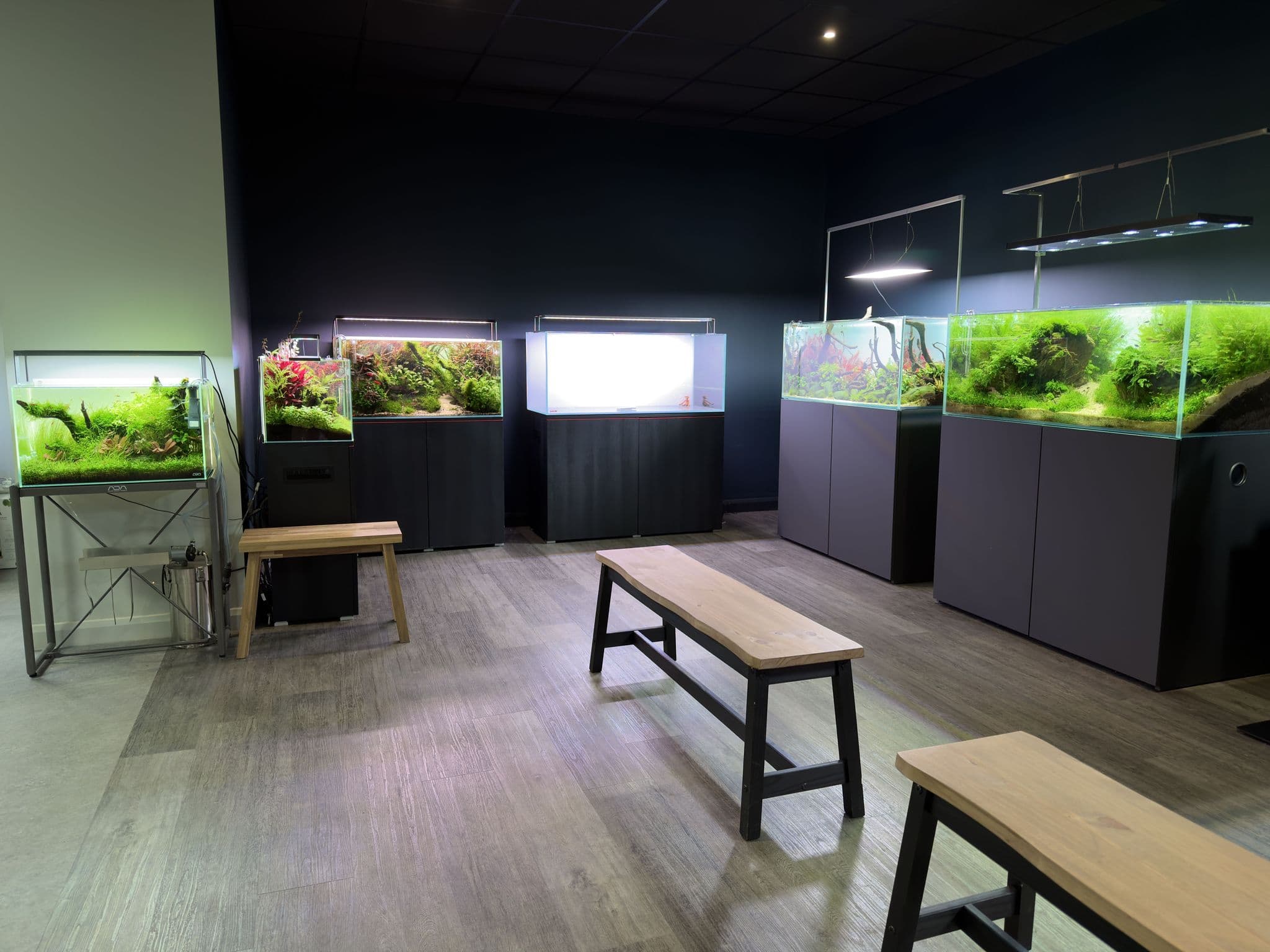 Aquarium Gardens Showroom Peterborough