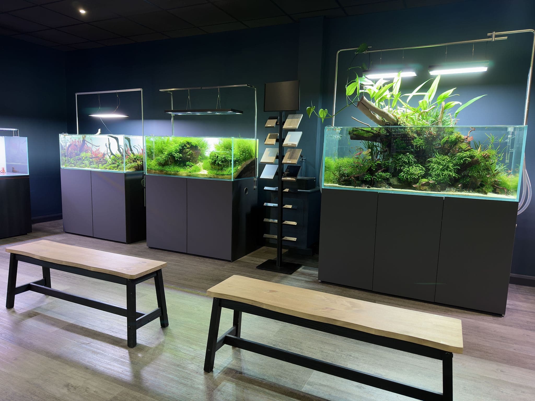 Aquascape Gallery, Aquarium Gardens UK