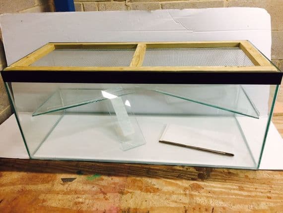 design 1 Hamster , Gerbil, Mice Tank with lid and shelf and ladder 36 x 15 x 15