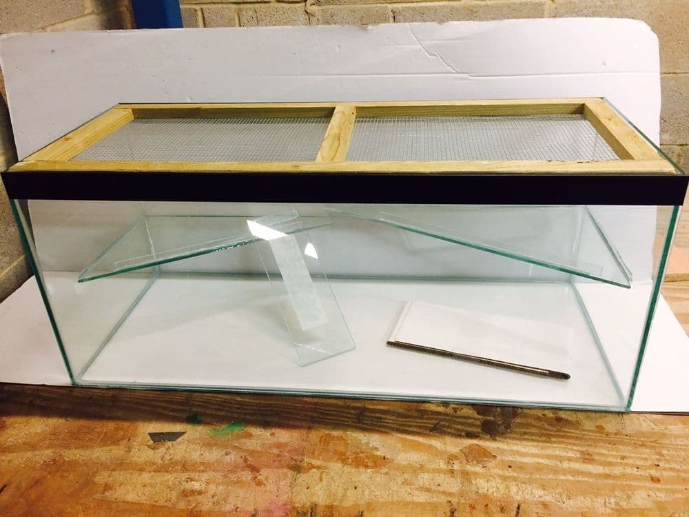 Mouse Tank Size design 1 Hamster Gerbil Mice Tank with lid and shelf and ladder 36 x 15 ...