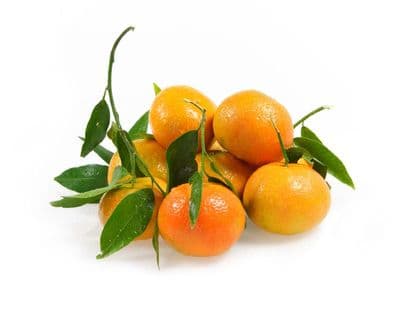 Clementine Corse Bio*