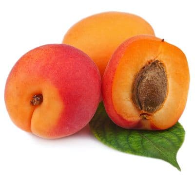 Huile Végétale Abricot ECO