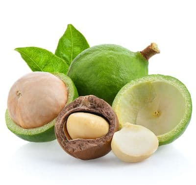 Huile Végétale Macadamia