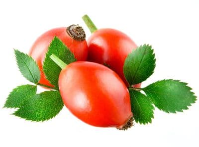 Huile Végétale Rose Musquée