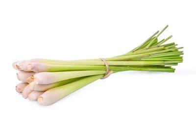 Lemongrass Bio*