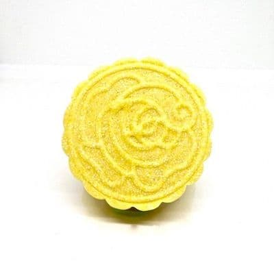 Shampoing Solide Cheveux Secs & Teints