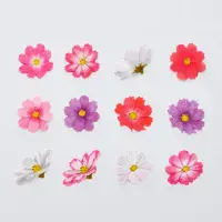 *Bande - Masking Roll Washi Stickers - Autumn Cherry Blossoms