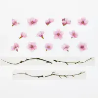 *Bande - Masking Roll Washi Stickers - Kawazu Cherry Tree