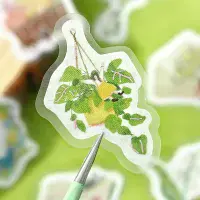 **BGM - Flake Stickers - Petit Stoli - Gardening