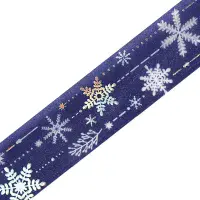 *BGM - Washi Tape - Winter 2025 - Snowy Night