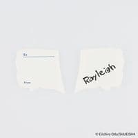 *Hobonichi Techo - ONE PIECE: Vivre Card & Treasure Tab Letter Press