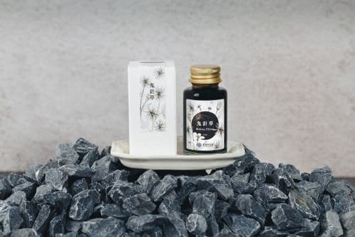 *Lennon Tool Bar - 30ml Ink - Pretty Vol 4 - Bidens Pilosa