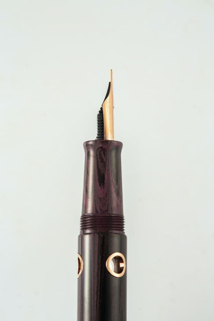Nahvalur - Nautilus Fountain Pen - Stylophora Berry