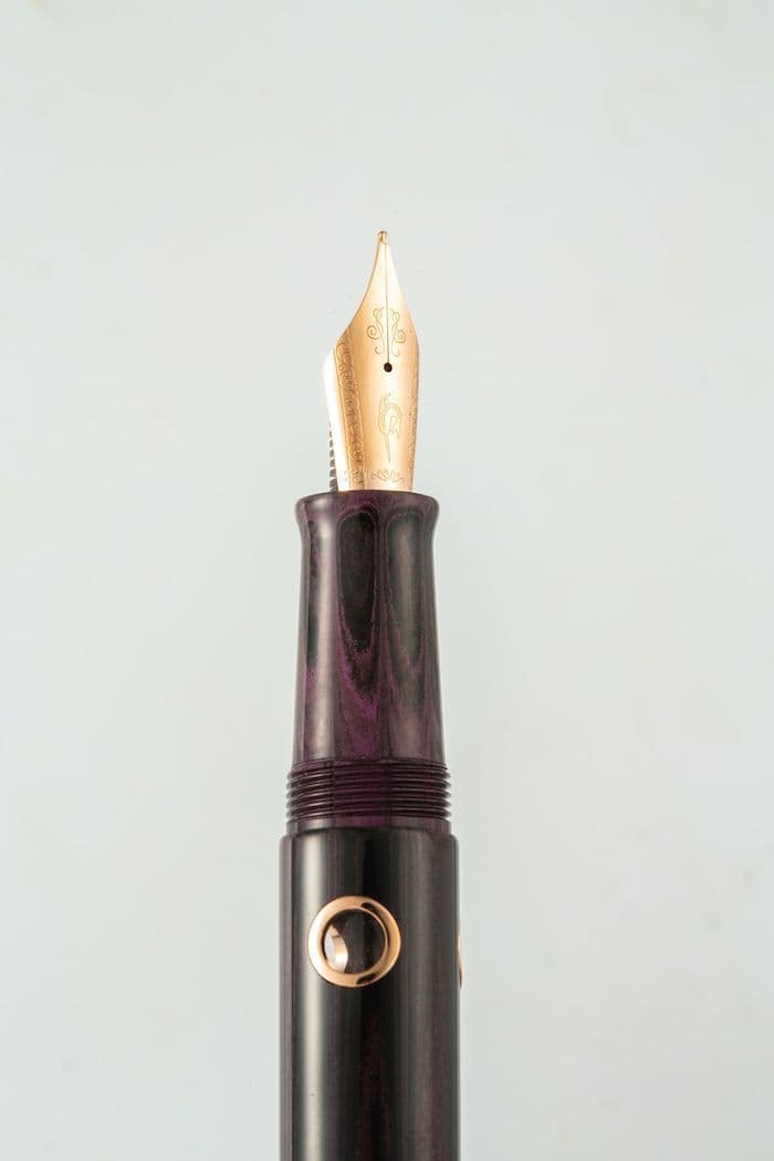Nahvalur - Nautilus Fountain Pen - Stylophora Berry