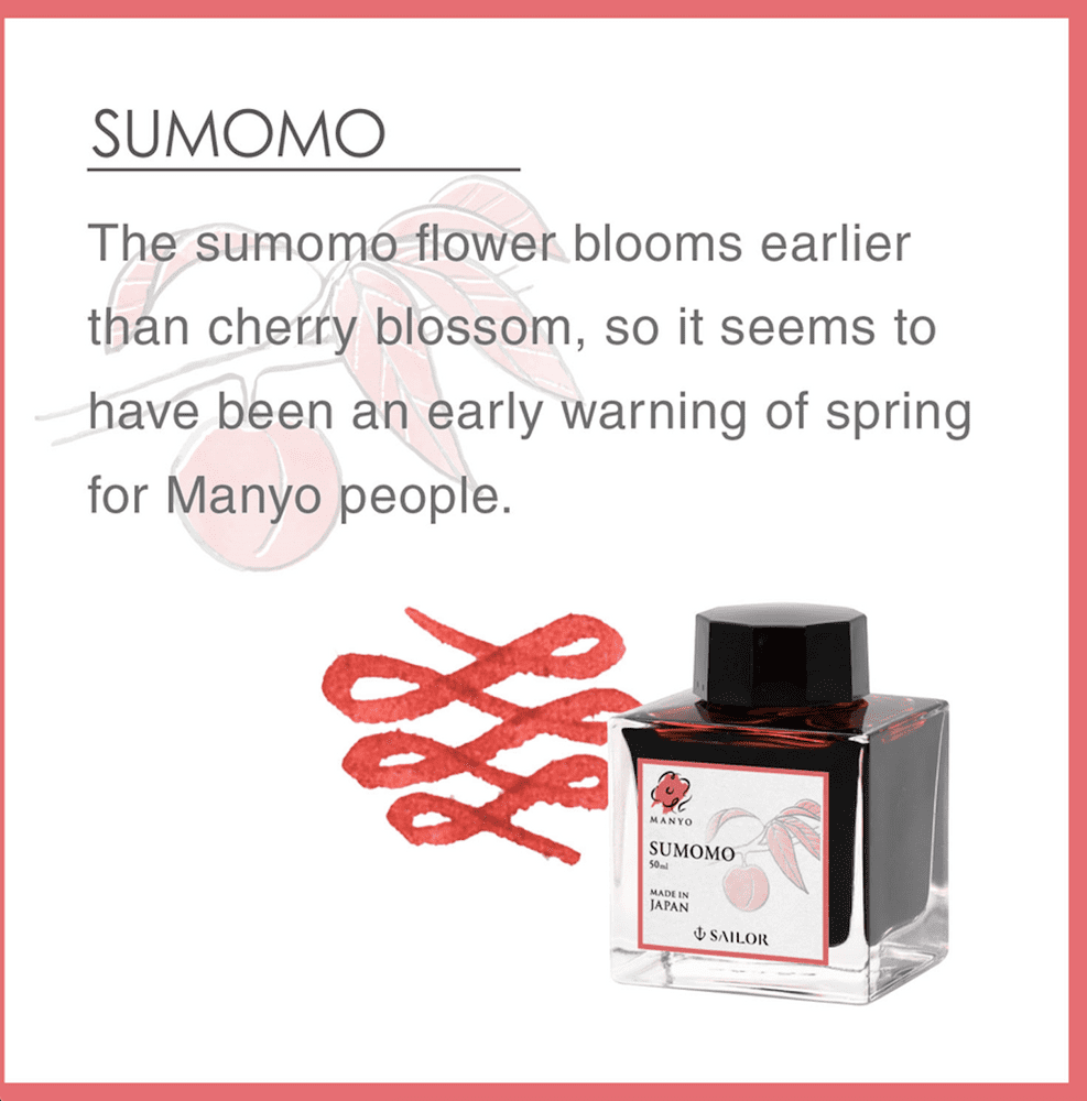 **Sailor - Manyo Fountain Pen Ink 50ml - Sumomo