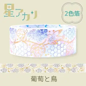 *Shinzi Katoh - Washi Tape - Rainbow - Grape & Bird