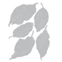 *Tim Holtz - Sizzix Thinlits Die Set - Leaf Fragments