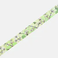 BGM - Washi Tape - Green Margin