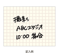 Daigo - Isshoni - Sticky Note Roll - Grid RD