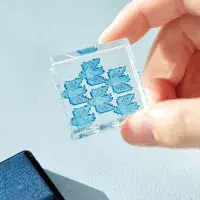 Hitotoki - Kori Jirushi - SML - Tree