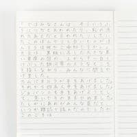 Hobonichi Techo - Notebook - Lined (blue)