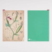 Hobonichi Techo - Pencil Board A5 - Tomitaro Makino