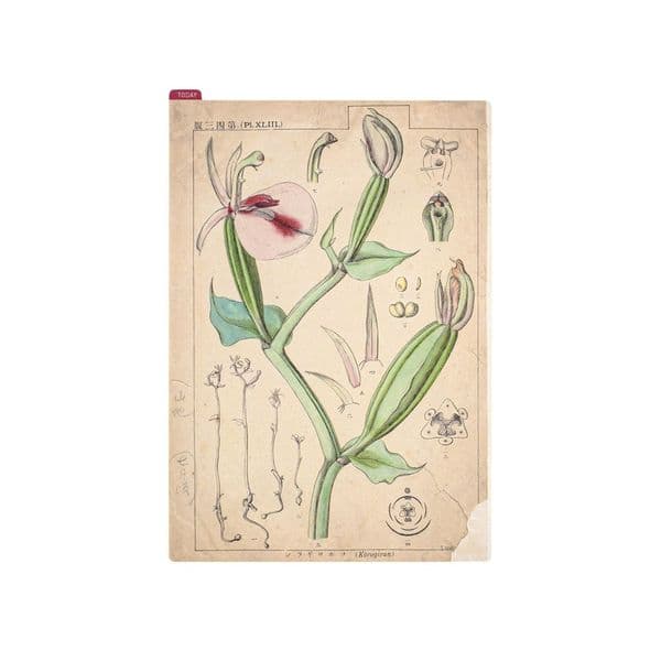 Hobonichi Techo - Pencil Board A5 - Tomitaro Makino