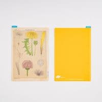 Hobonichi Techo - Pencil Board A6 - Tomitaro Makino
