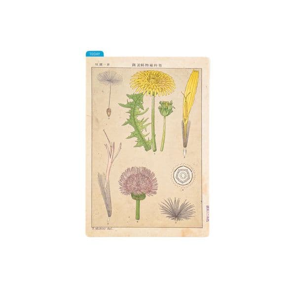 Hobonichi Techo - Pencil Board A6 - Tomitaro Makino