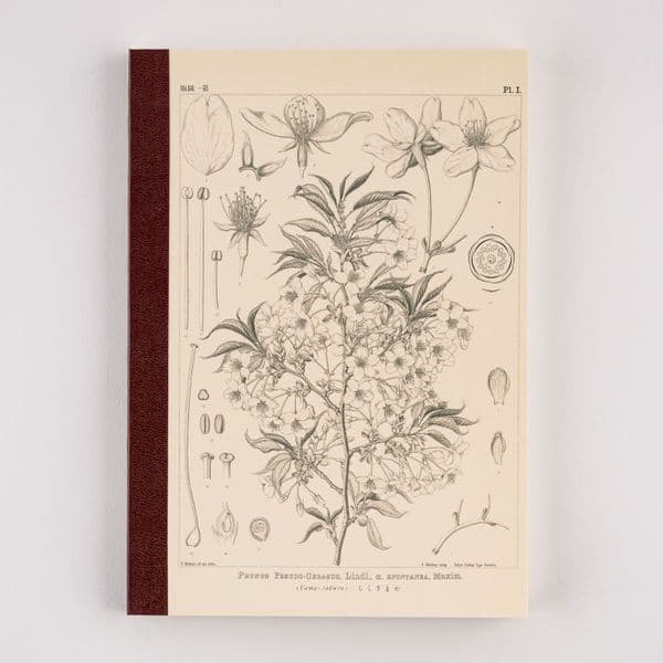 Hobonichi Techo - Plain Notebook (A5) - Tomitaro Makino: Yamazakura